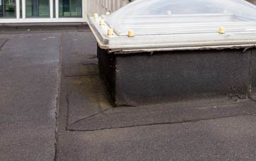 disadvantages of Newlands Park flat roofs